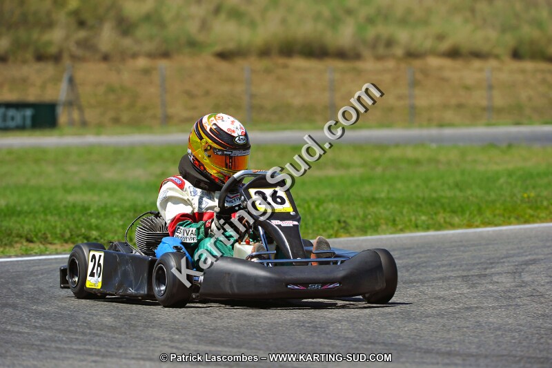 DSC_ (1488).jpg